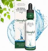 Chlorophyll Extract  (30 servings)